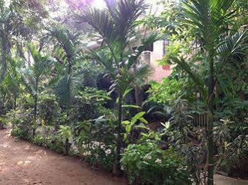 Pallava Dynasty Hotel Mamallapuram Eksteriør billede